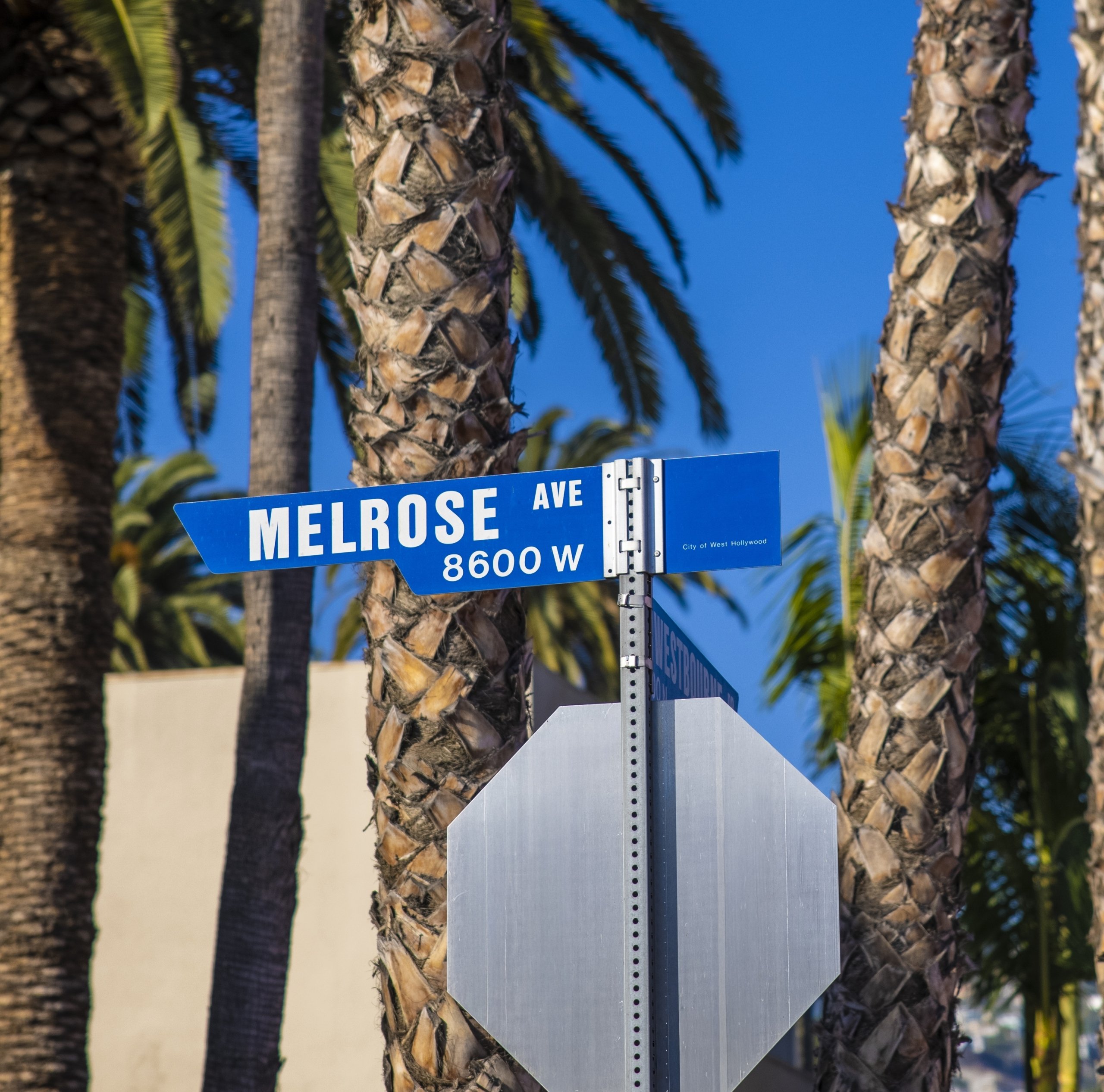 The street sign of Melrose Avenue in West Hollywood.