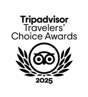Tripadvisor's 'Traveler's Choice Award' logo for 2025.