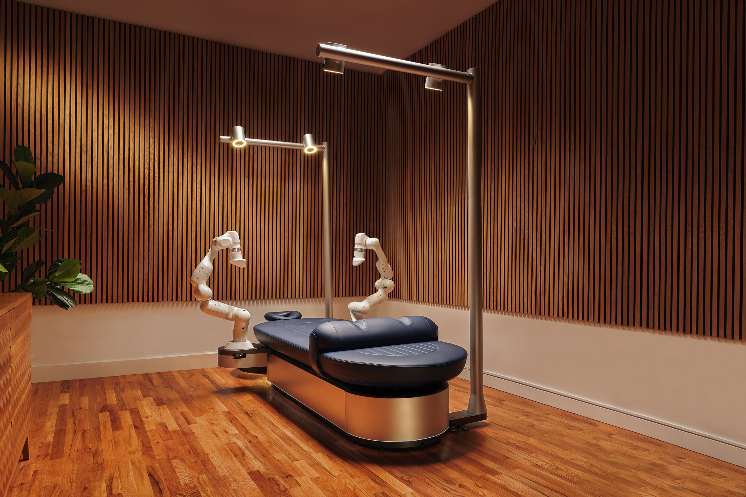 Aescape Massage